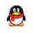企鹅通讯 1.0官方版