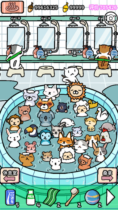  动物温泉